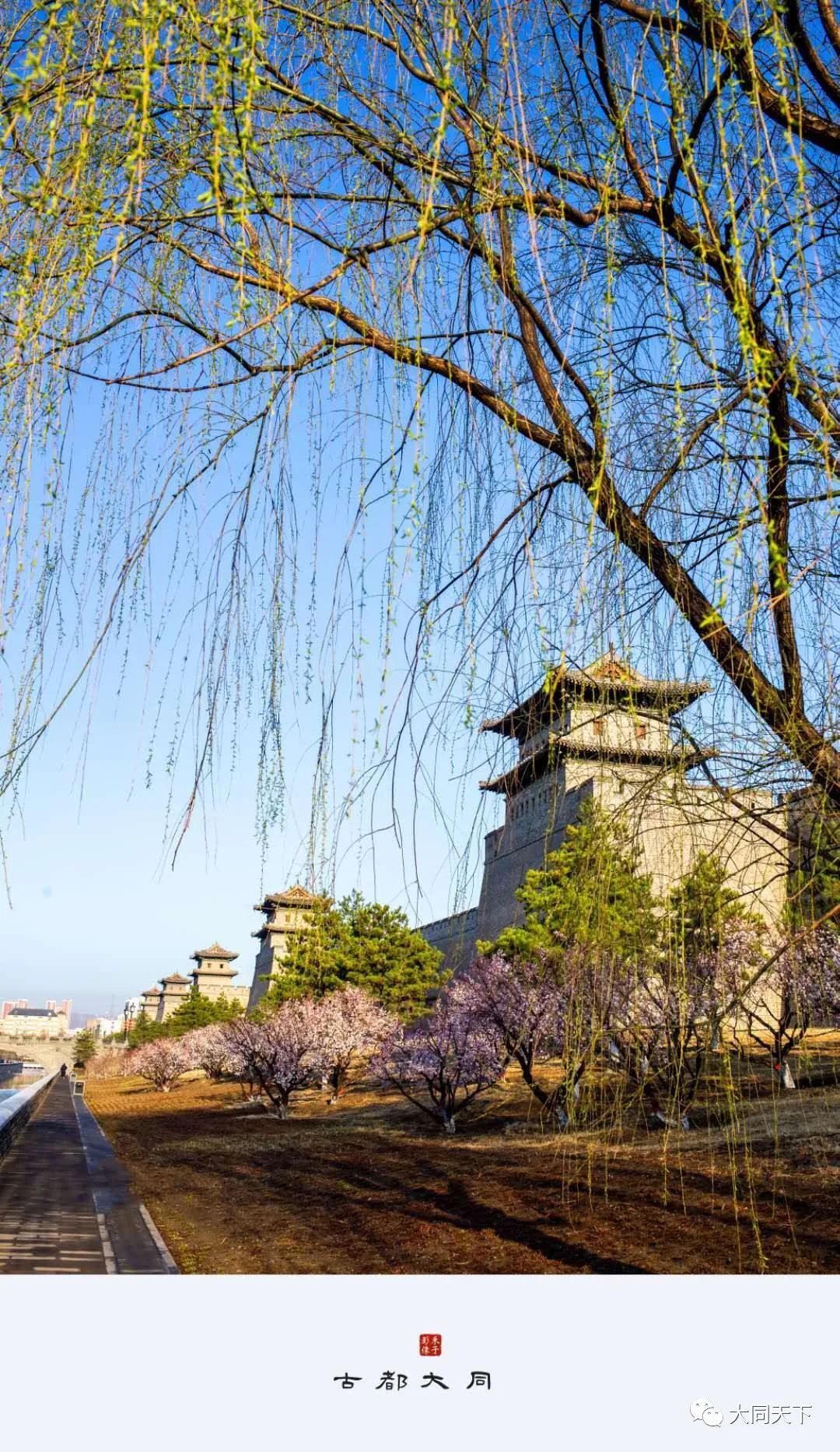 惊艳大同  去和春天,处处吻