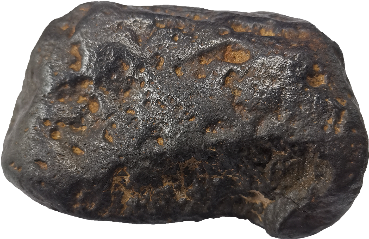 蛇皮纹石铁陨石图片图片