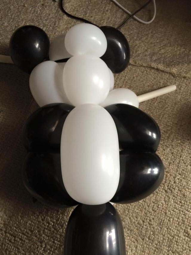 熊猫气球造型图解教程