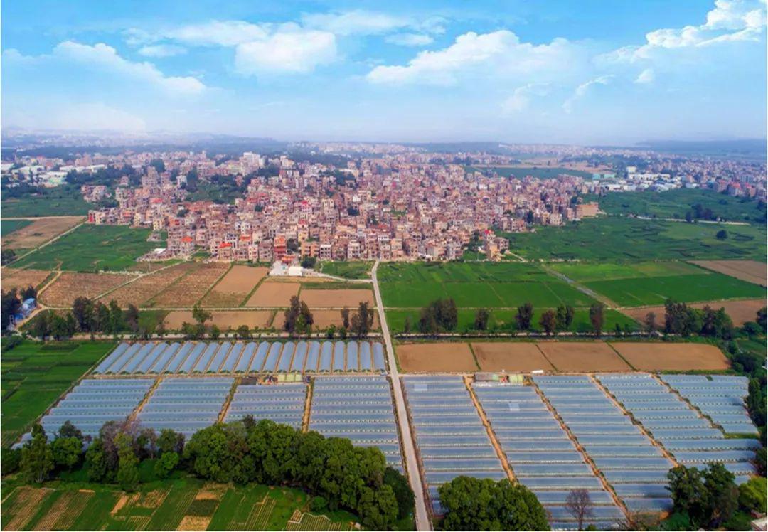 东岭镇建设美丽家园促进乡村振兴