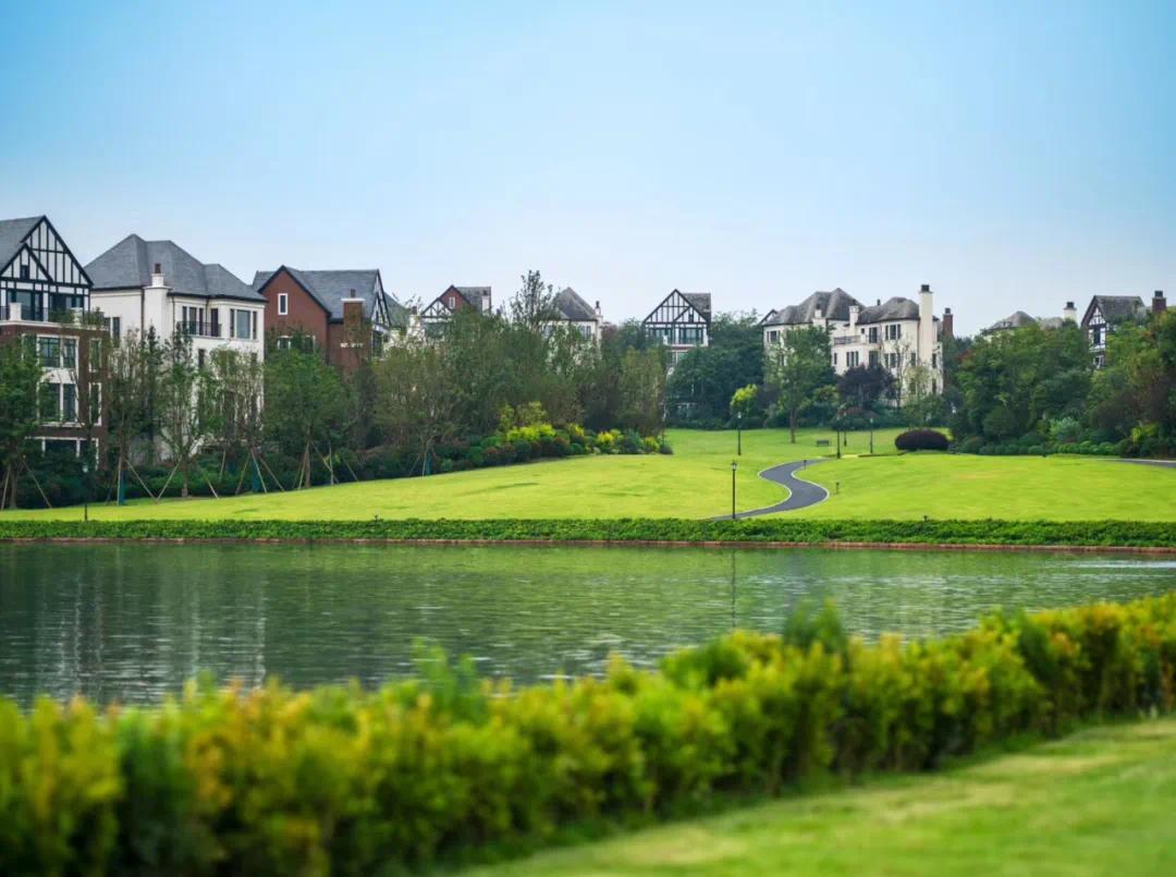 搜狐焦点成都站