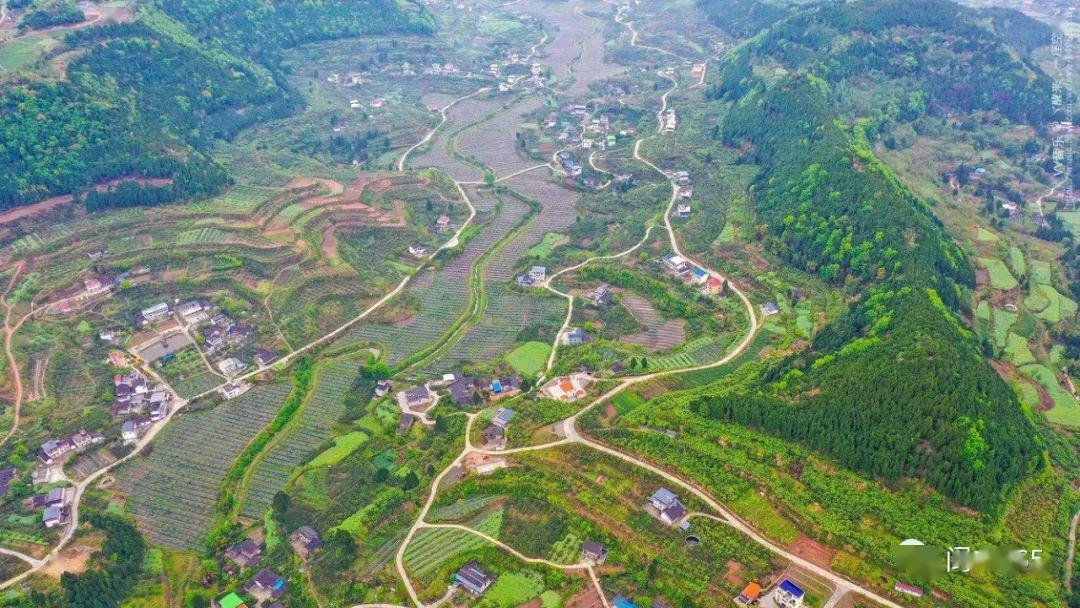 踏青好去处最美桥亭村