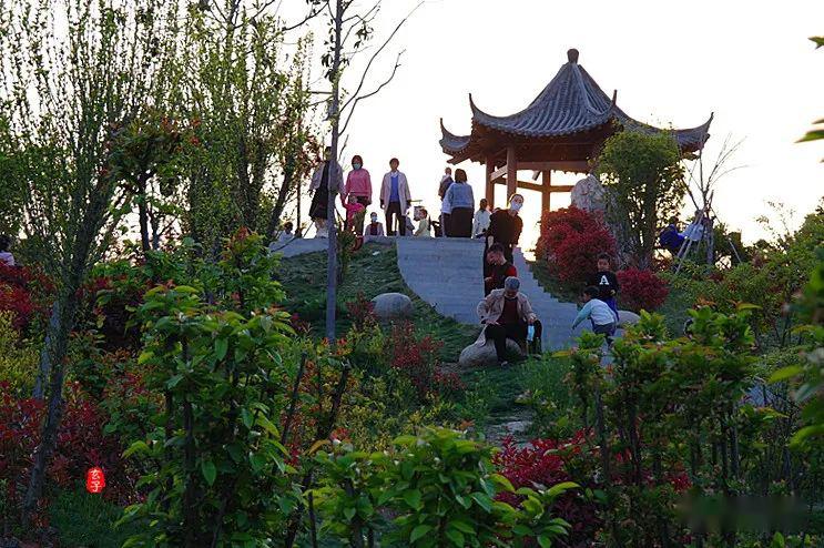 新—住宅产权—税少 —(朝南)视野好 —不临街安静—阳光好