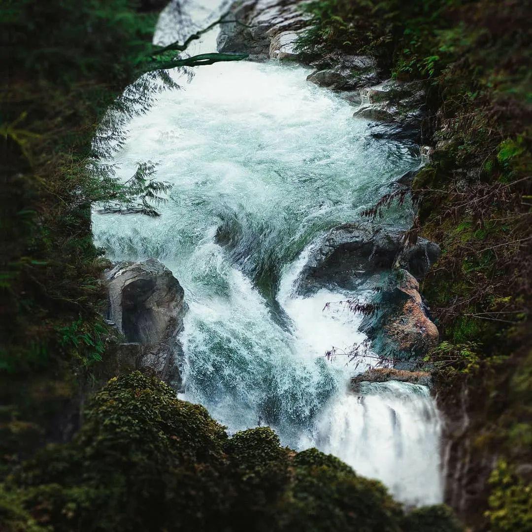 这艺术家简直是ps鬼才有意思