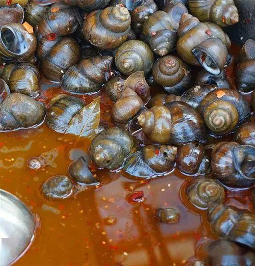 清明螺赛过鹅但是吃螺蛳需注意6点否则会危害健康