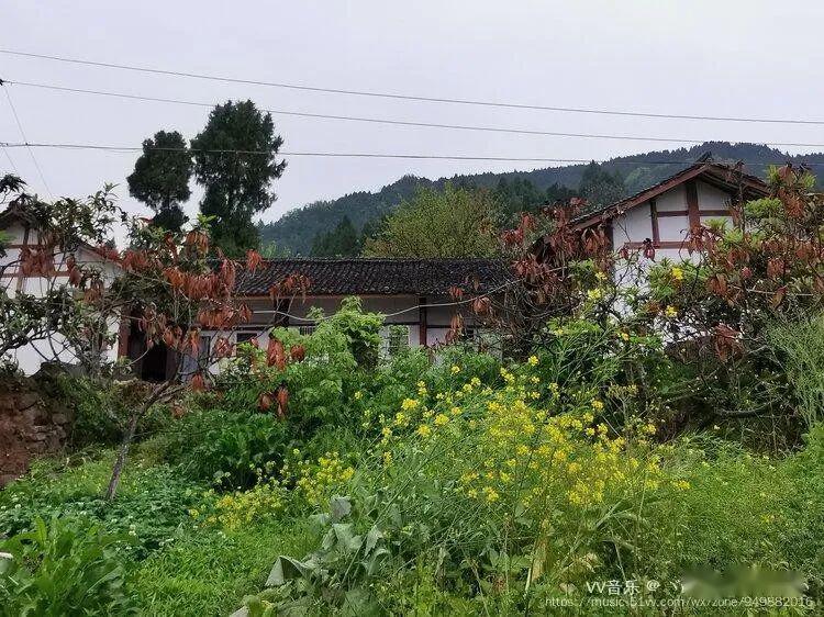 踏青好去处最美桥亭村