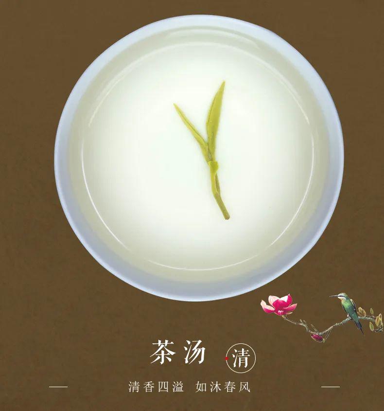 婺源仙枝—高山野生仙枝 鲜爽回甘_茶叶