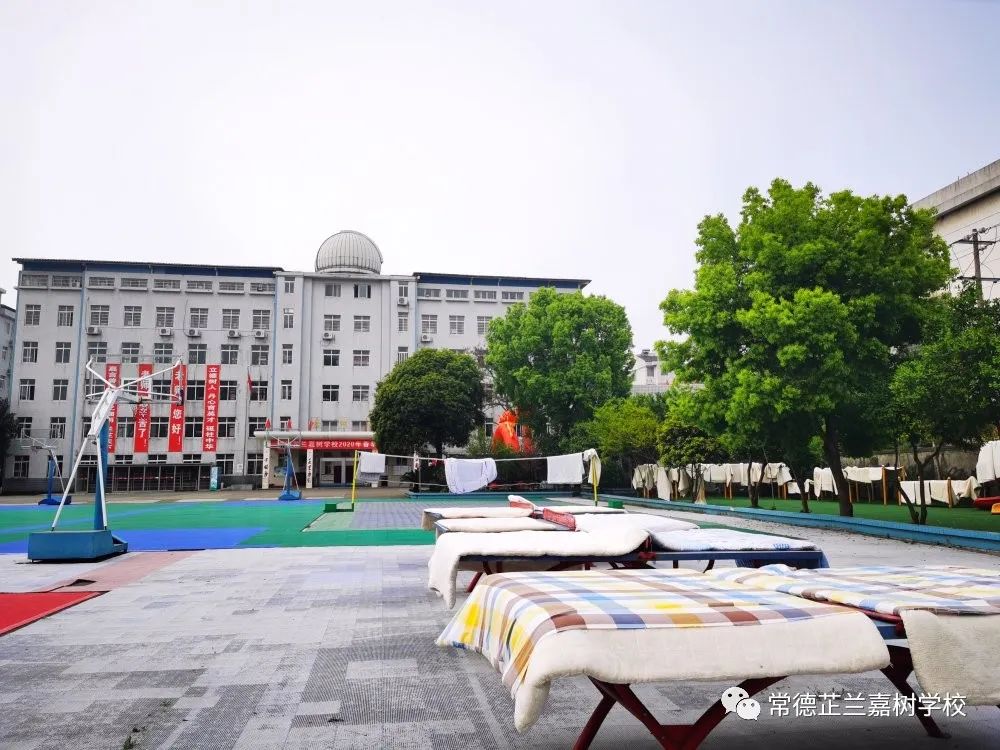 芷兰嘉树开学实战演练我们准备就绪