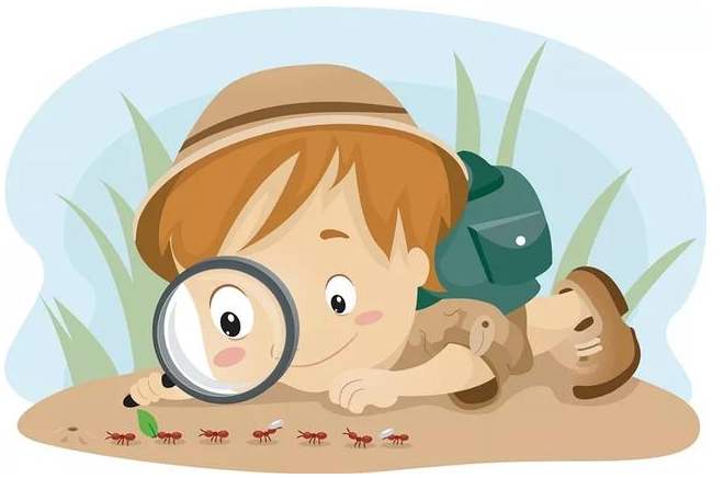 家长帮孩子改作文,把握3个要点,只提高写作能力,不代写作文_词语