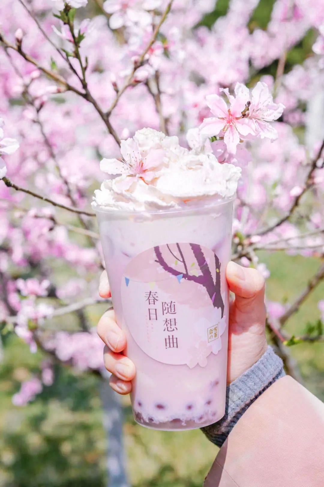 奈雪樱花宝藏茶俘获你的少女心