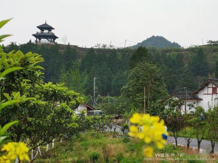 踏青好去处最美桥亭村