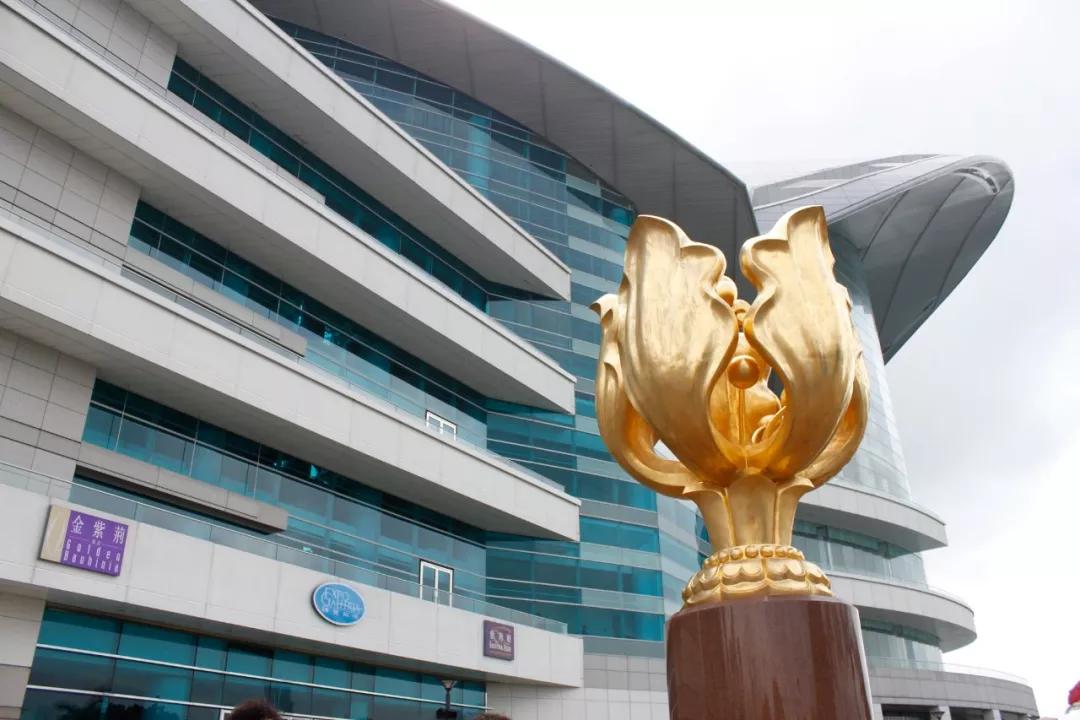 办事处:生死登记总处办理地点:金钟道政府合署低座3楼组别/办事处