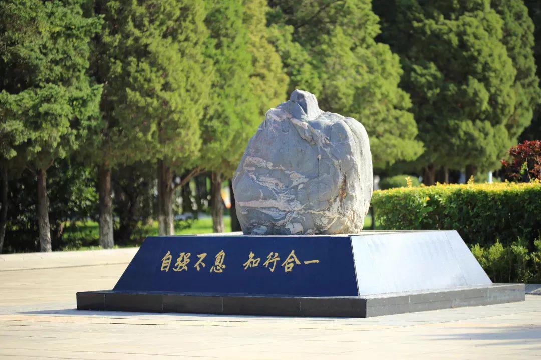 云端开讲,东北大学网上分省招生咨询会全面开启!