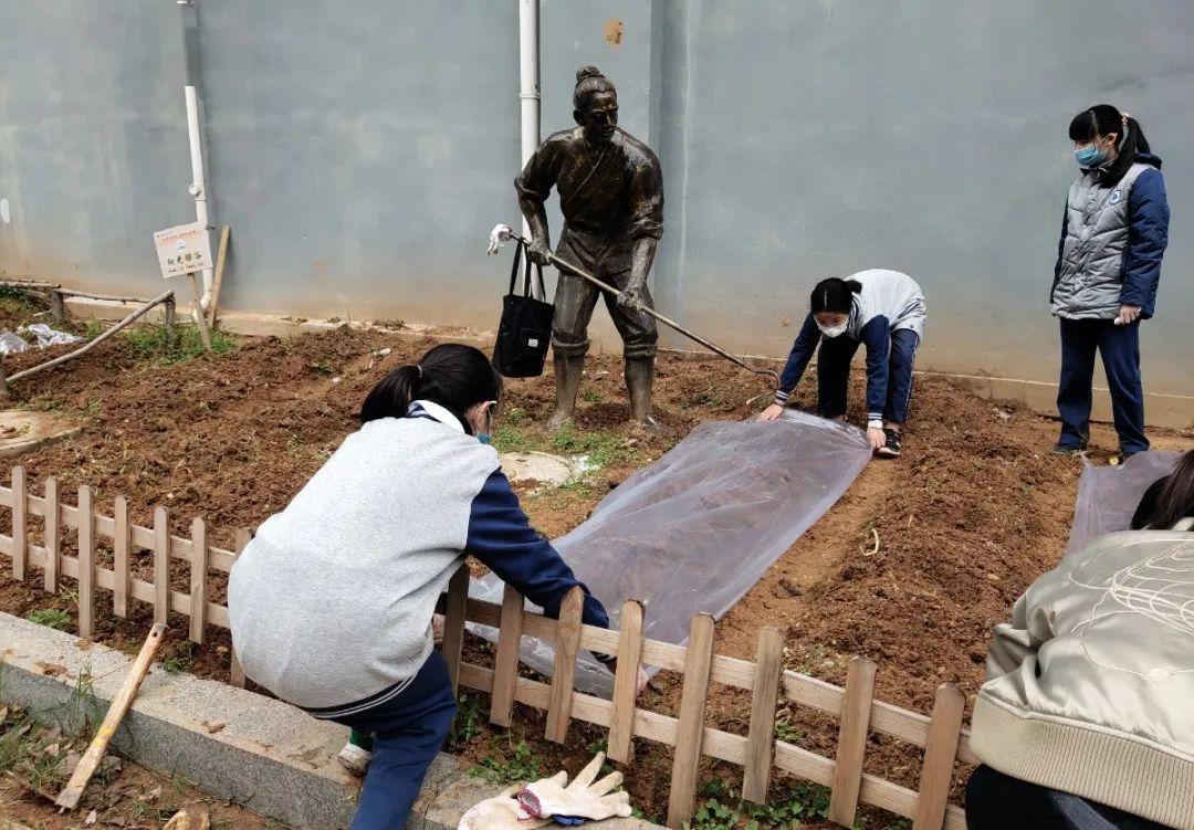 覆膜躬身指导的指导教师耕耘的时光大地有了种子,便有了生机,大地浸润