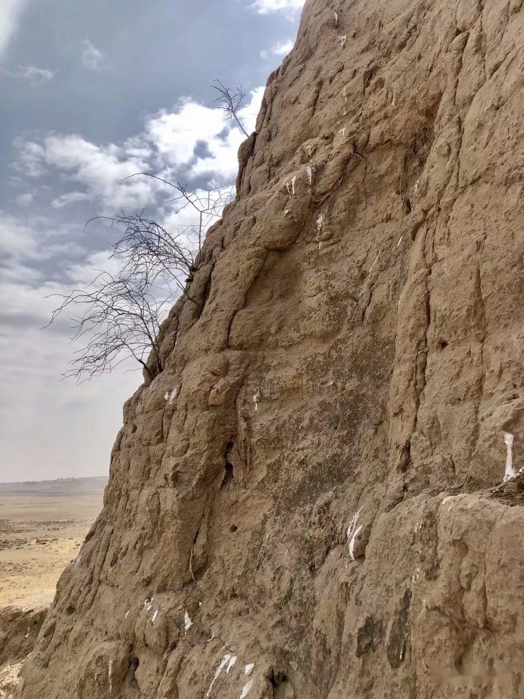 山坡略陡,一路向上,三月的春风依然萧瑟,远处黄沙漫卷,愈发显现出这里