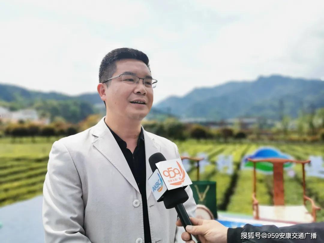 平利副县长直播卖茶!130多万人围观!
