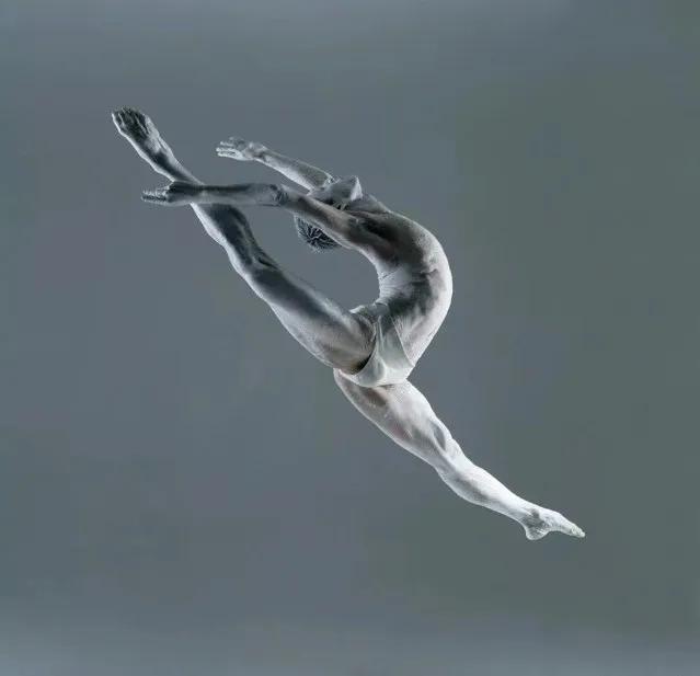 谢墨| 摄影巨匠 全球华人首位哈苏大师_作品