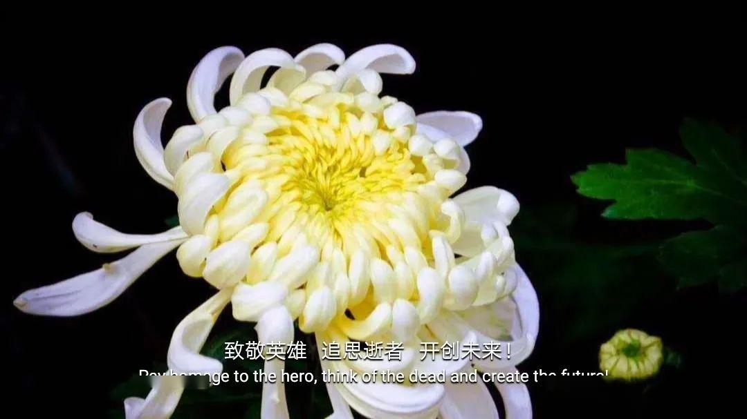 追思逝者开创未来