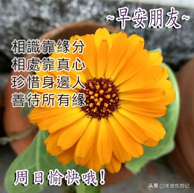 2020年4月5日心有多精彩你的世界就有多精彩早安週末愉快