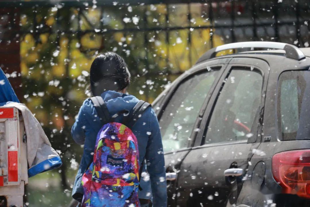 (转)杨柳絮中存在新冠病毒?专家:没有证据!