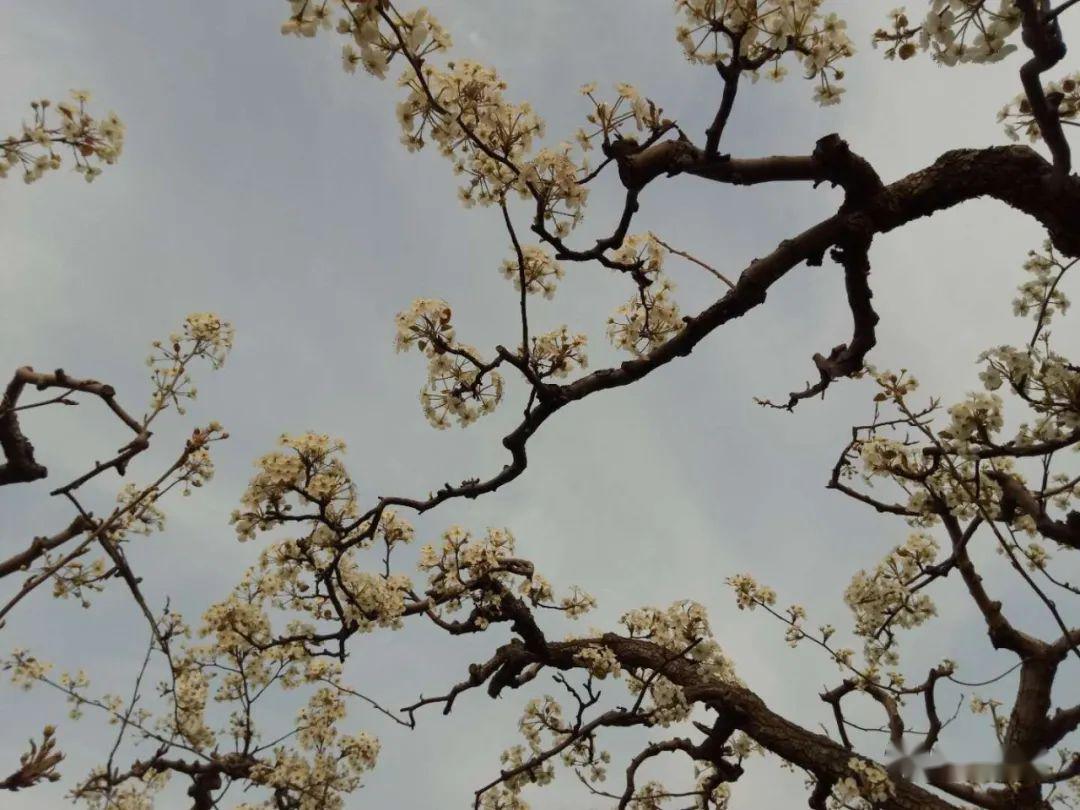 美景提前看雄关御道古淀梨湾掠影