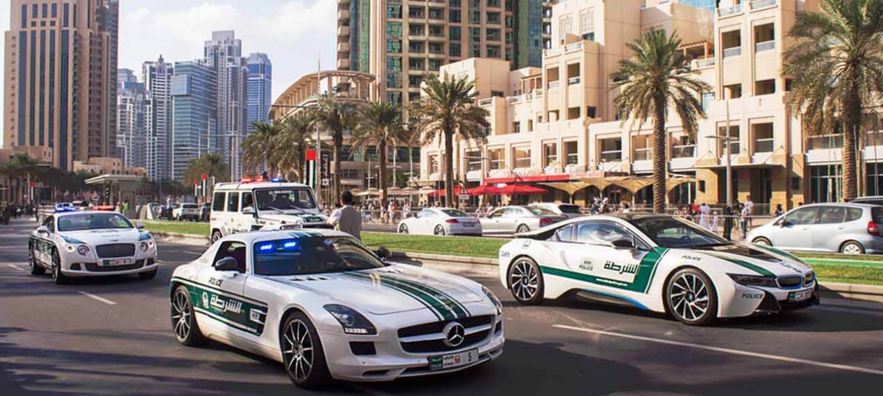 迪拜女警察图片