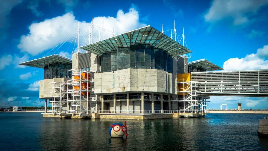 葡萄牙里斯本海洋馆lisbon oceanarium小鲸鱼友情提醒,就算疫情过后