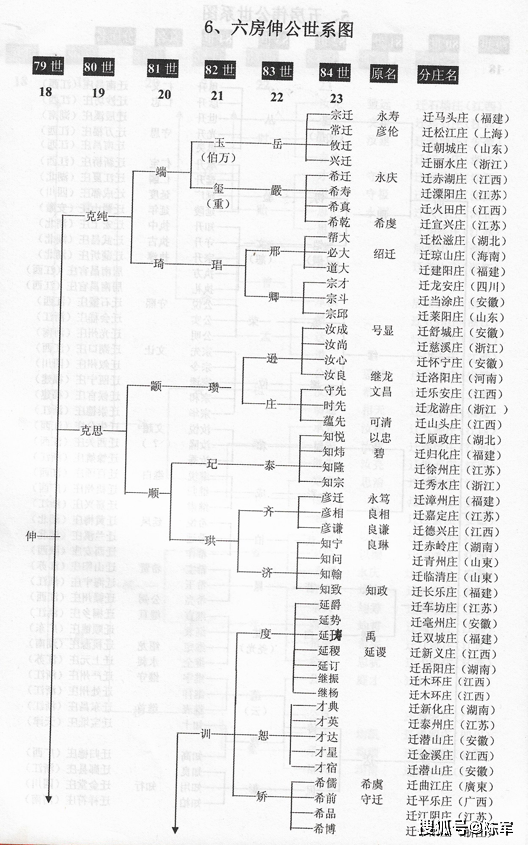 义门陈氏世系图图片