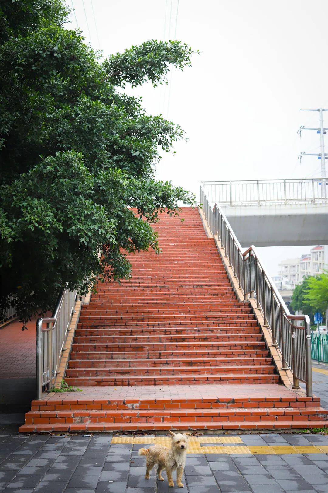 旺角大学城,我真的太太太太太想你了!