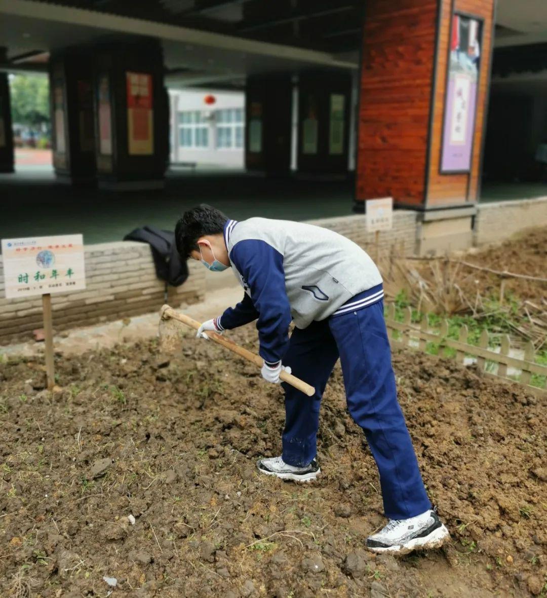 播种,栽苗覆膜躬身指导的指导教师耕耘的时光大地有了种子,便有了生机