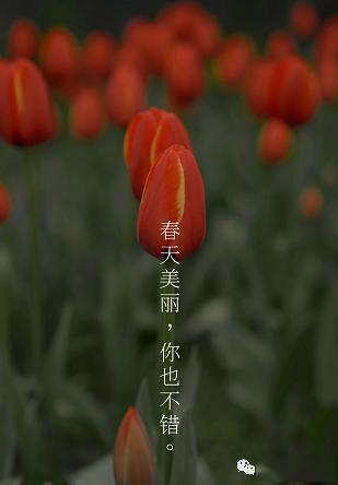 别浪费一分春光快到交通经济汽校练车吧