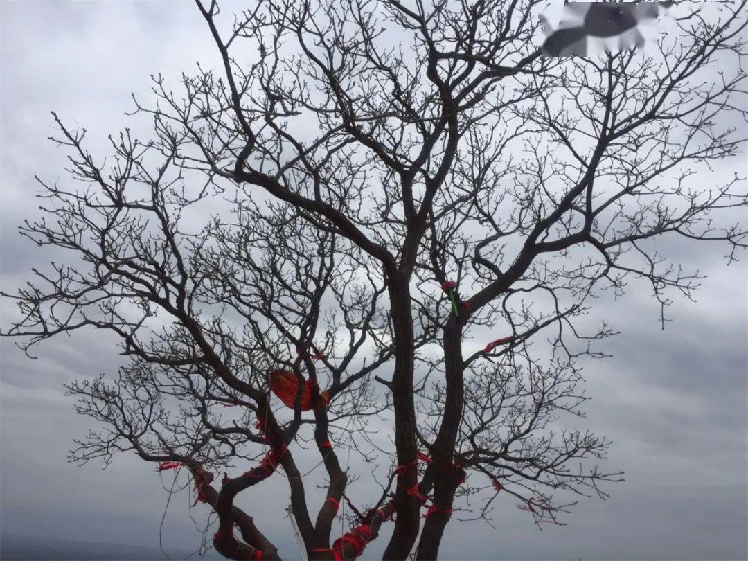 宝鸡西观山图片