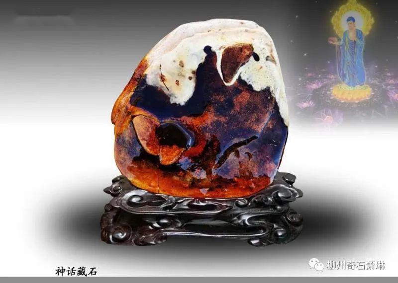 奇石档案藏家专栏-韦德伟