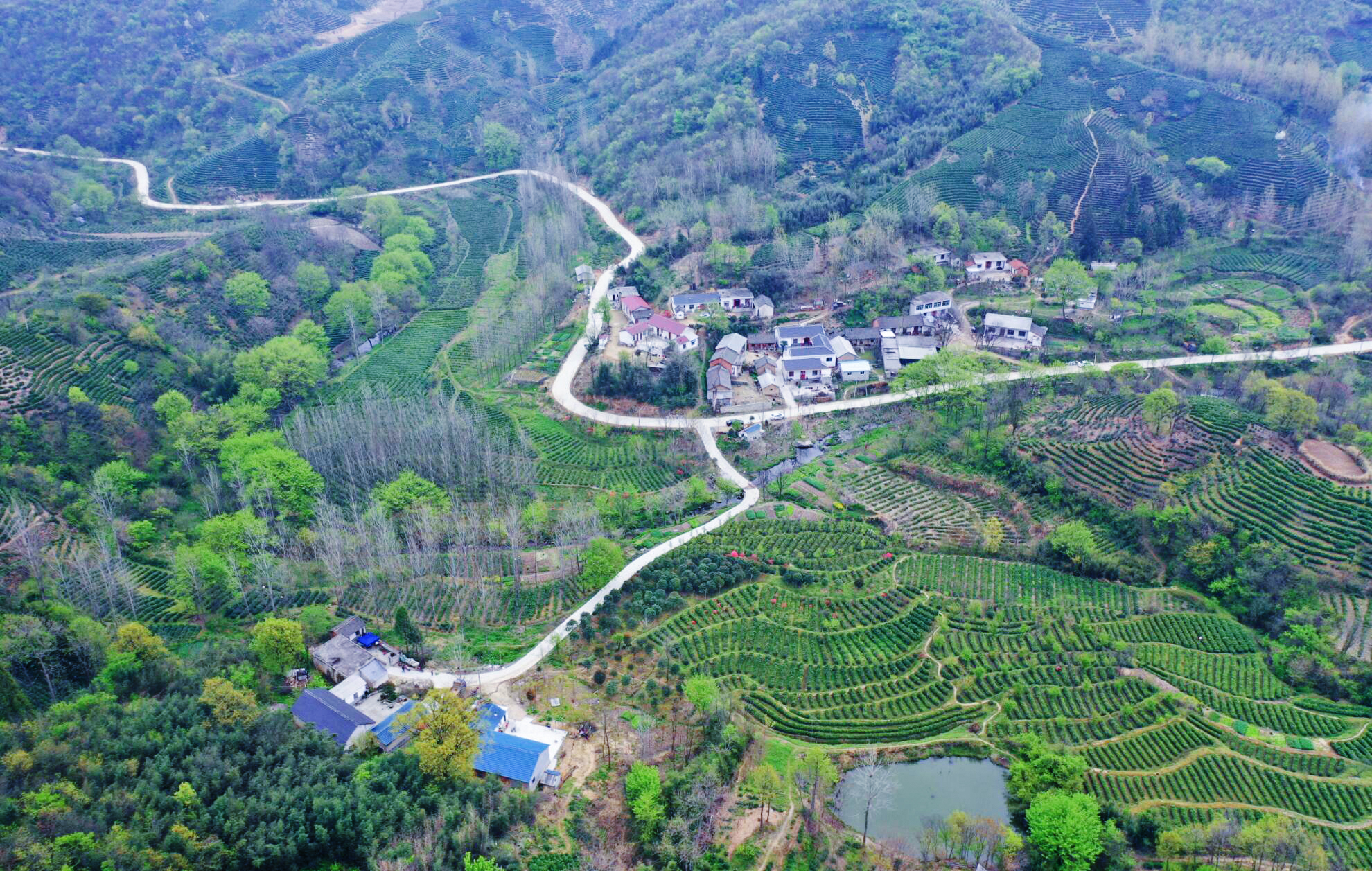 董家河镇黄龙寺村连云山