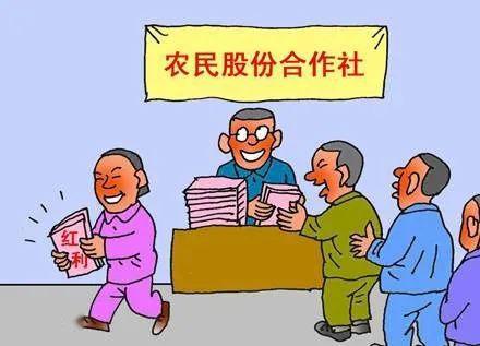 岚山区村党组织领办合作社操作实务问答第四期