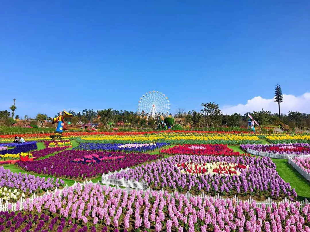 五龙山百花谷图片