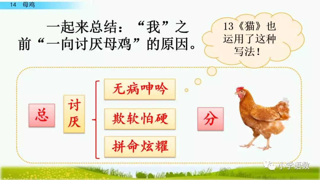 部编版四年级下册第14课母鸡图文讲解