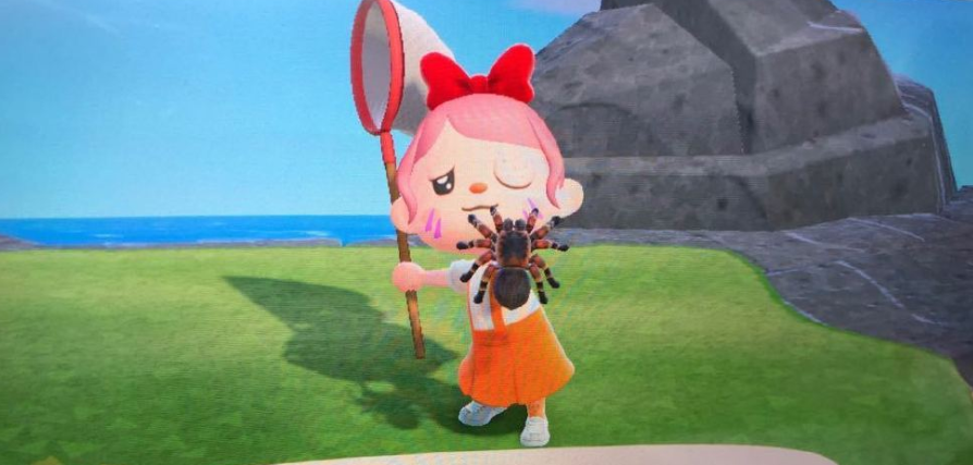 动物森友会白天也能刷狼蛛用这个办法每天多赚20万