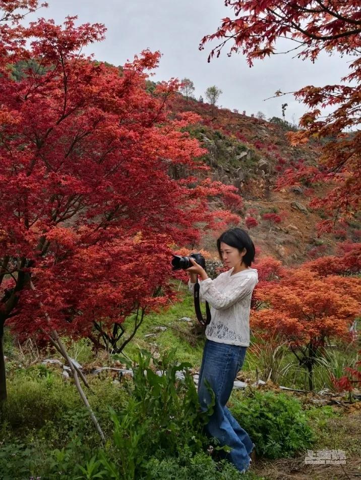 文章来源|芳草无邪的美篇,乐清发布桐阳溪穿村而过,四面环山,碧水中流