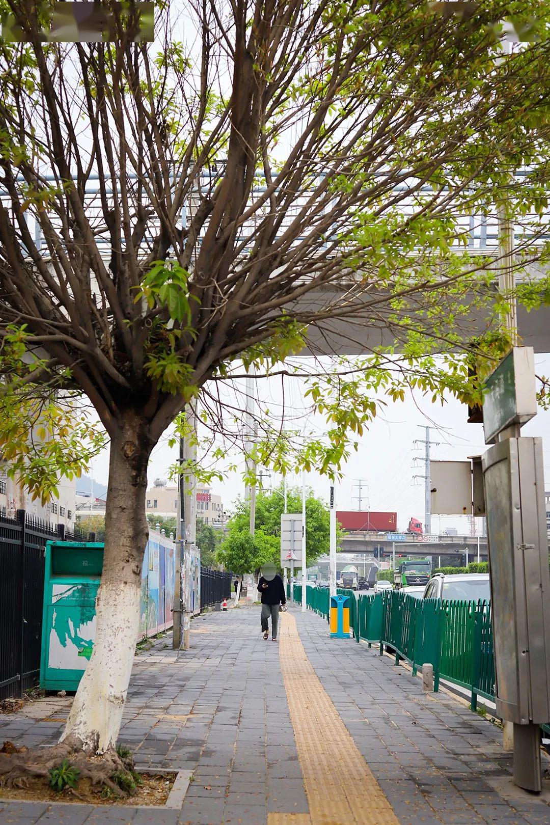 旺角大学城,我真的太太太太太想你了!