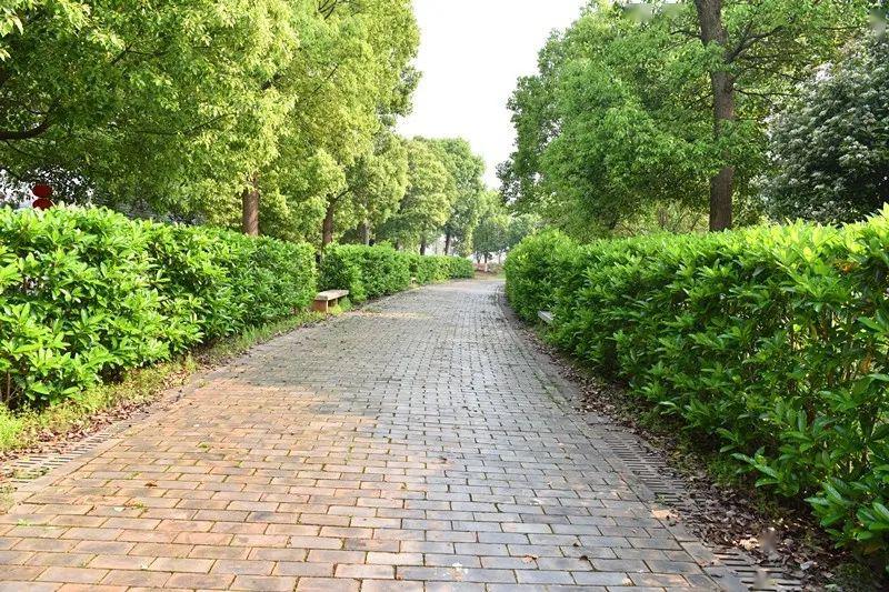 直击开学现场||衡山县县长蒋青一行莅临我校督查指导开学工作