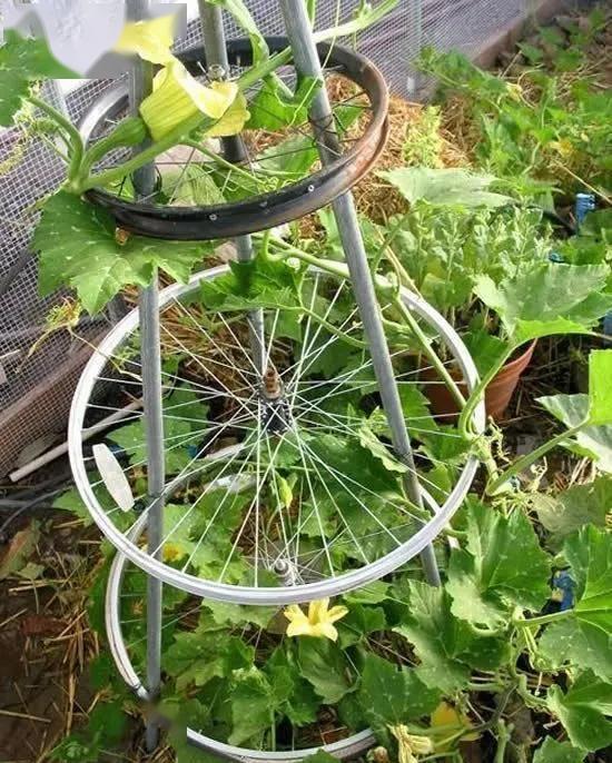 自行车又破又旧只能丢?这样改造太美了!diy变废为宝旧物改造
