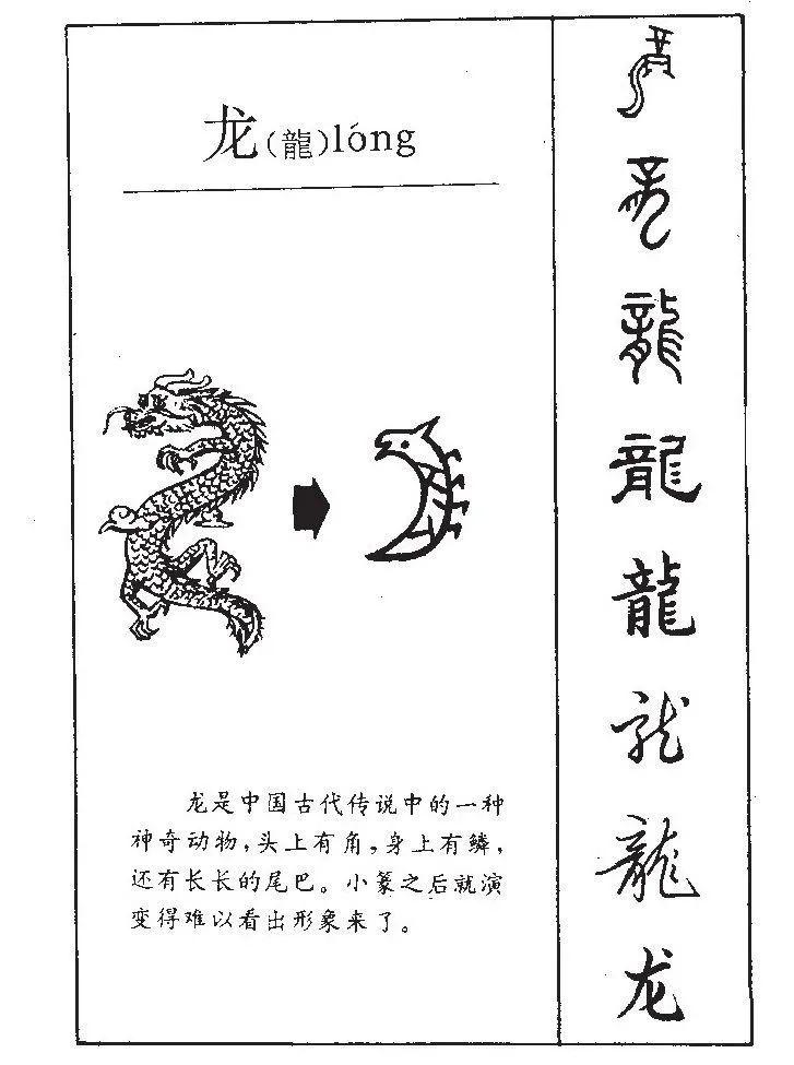 龙甲骨文字图片