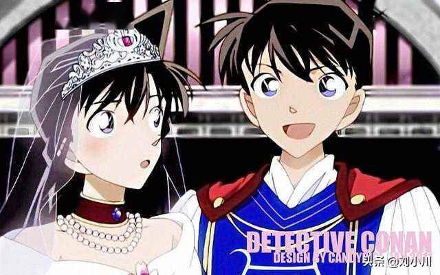 组织斗智斗勇的故事,不过网友总是调侃,乌丸莲耶该不会是柯南自己吧