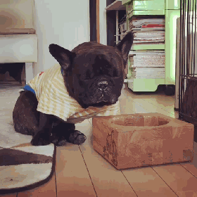 280_280gif 动态图 动图