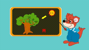 课堂动画我们来翻翻书吧