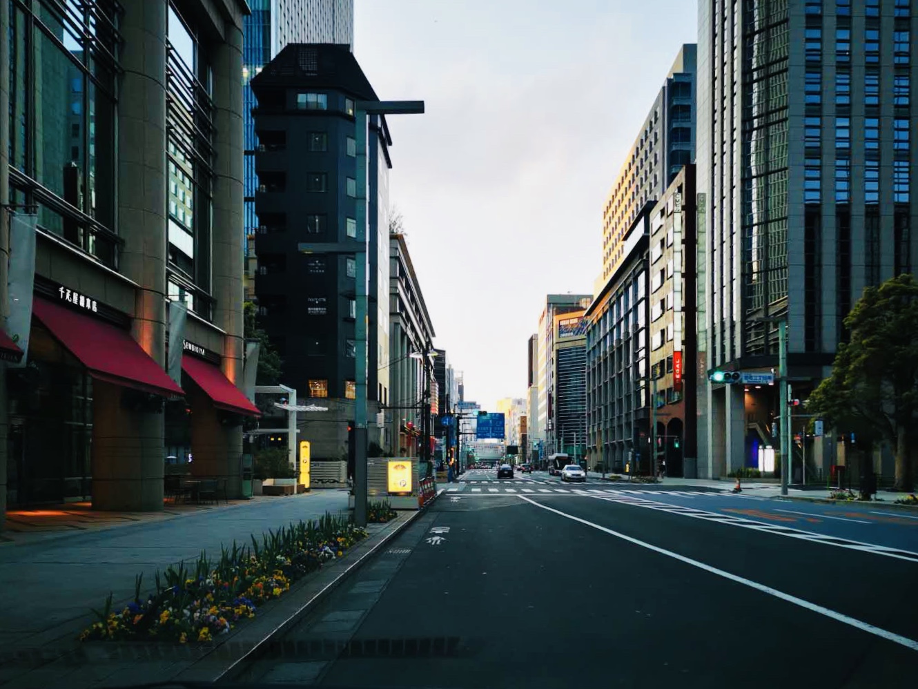 揭秘:"日本版"封城的四个真实原因