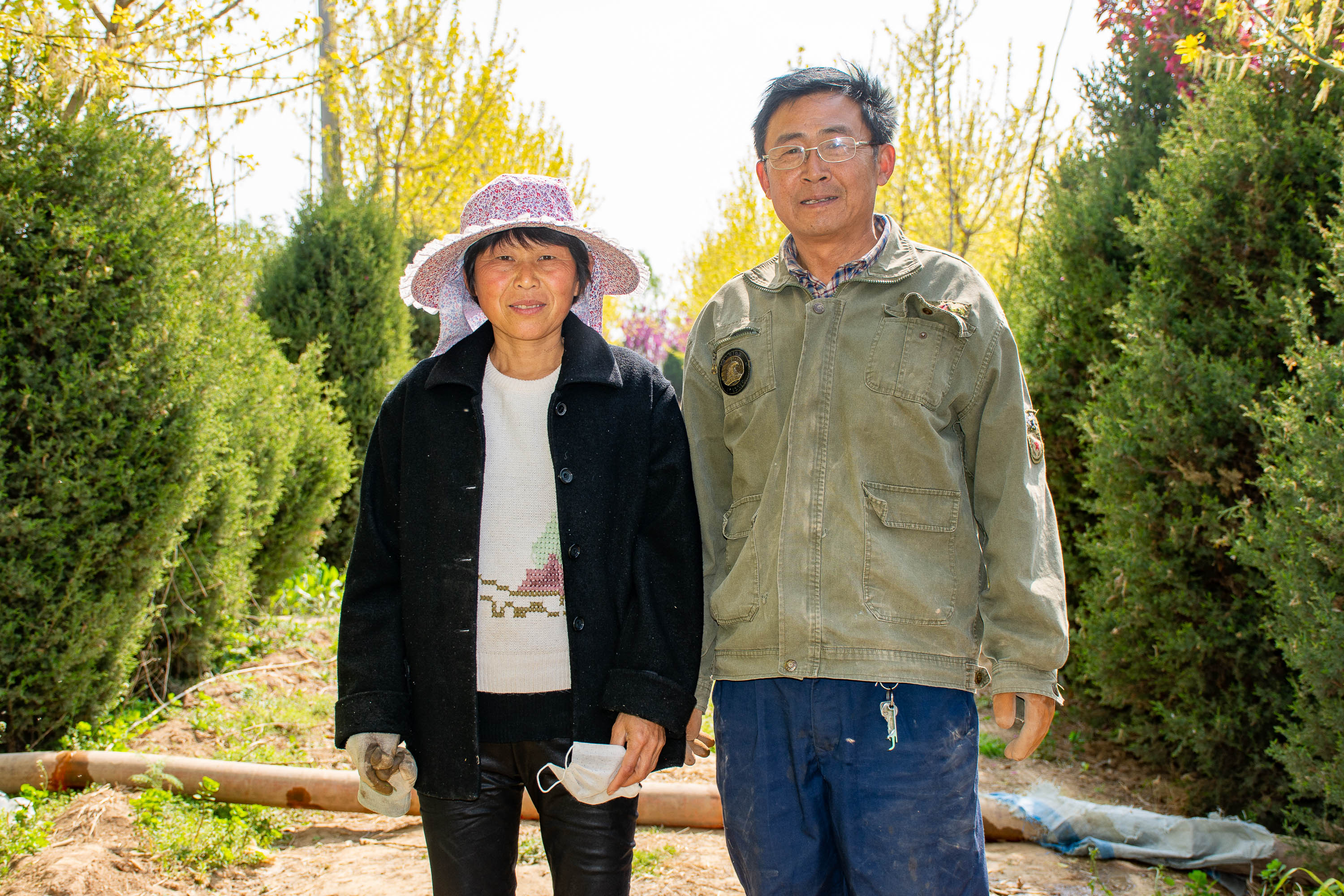 原創一對農村夫婦在黃河邊上打造三十畝溼地吸引幾十種鳥類來棲息