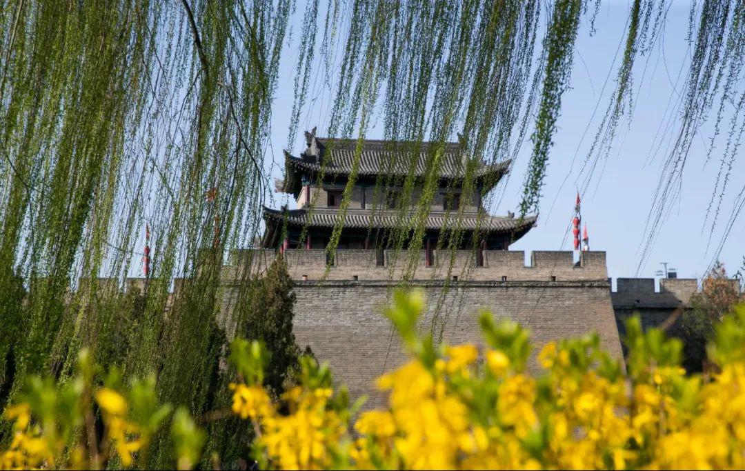 地无论是在道路旁与大家一同云赏西安春色~搜集了朋友圈里的春天今天