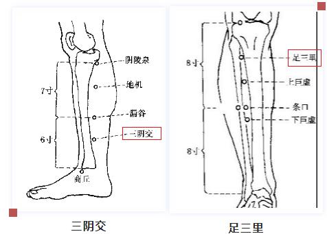 脚上有个特效穴配上足三里女人常按把亏虚的气血补回来